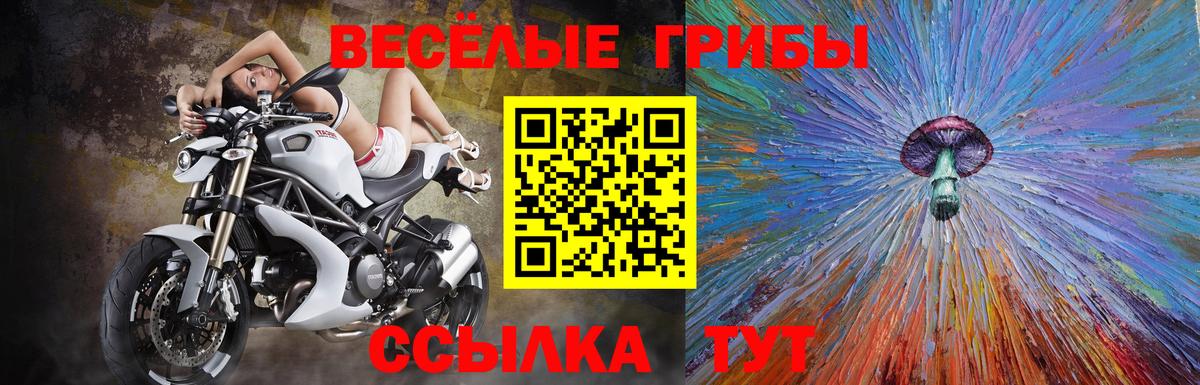 Трёхгорный  Псилоцибиновые грибы GOLDEN TEACHER  Вход с VPN  Псилоцибиновые грибы мухоморы 