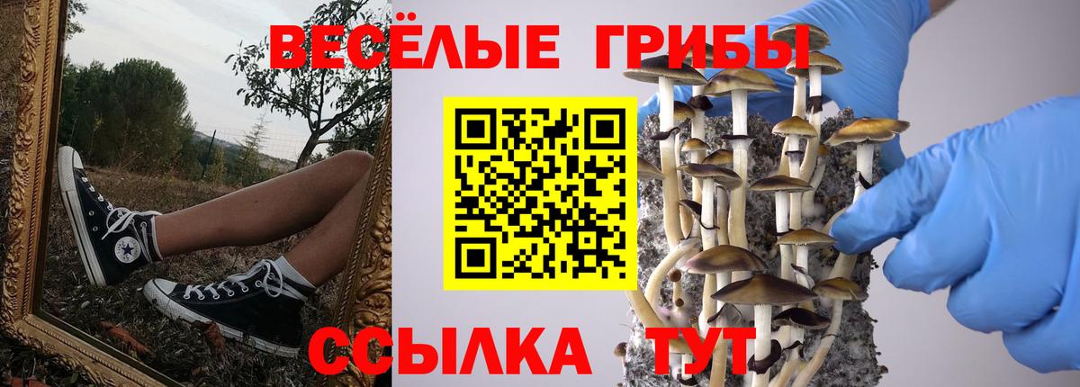 Псилоцибиновые грибы ЛСД Трёхгорный